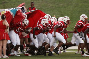 米兰体育登录-全国城际定向越野赛青少年组吸引众多参赛者，全国定向越野锦标赛